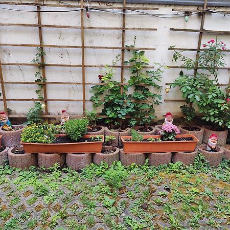 Ferienwohnung Alte Stadtmauer Bamberg Ngoại thất bức ảnh